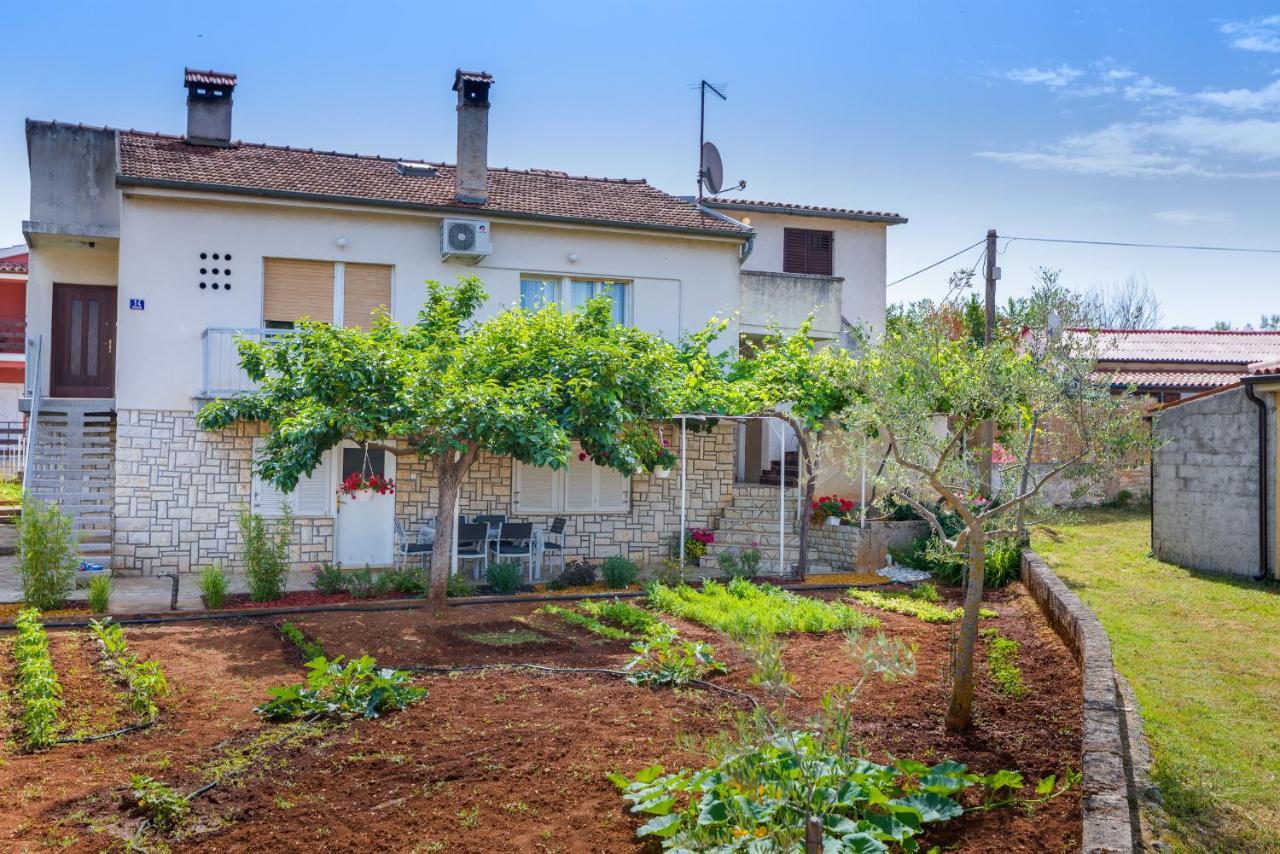 Apartment Tesic Close To The Sea With Shared 4Xbicycles Fažana エクステリア 写真